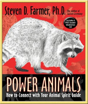 Power Animals: How to Connect with Your Animal Spirit Guide