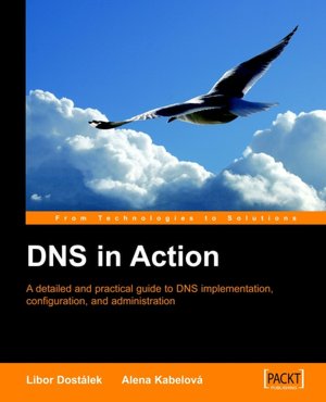 Dns In Action