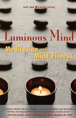 Luminous Mind: Meditation and Mind Fitness
