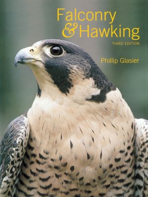 Falconry & Hawking