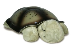Twilight Turtle