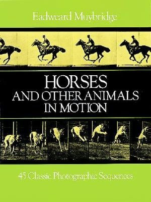 Horses & Other Animals in Motion