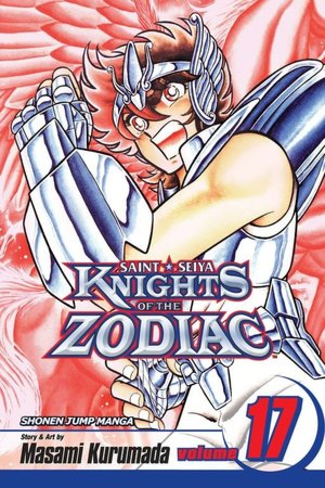 Knights of the Zodiac (Saint Seiya), Volume 17