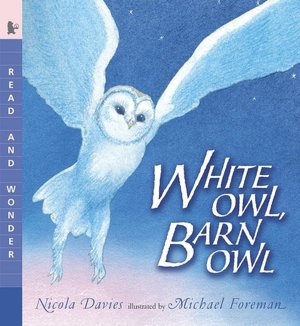 White Owl, Barn Owl (Read and Wonder Series)