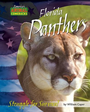 Florida Panthers: Struggle for Survival