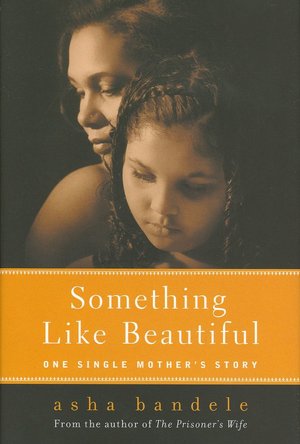 Something Like Beautiful: One Single Mother's Story