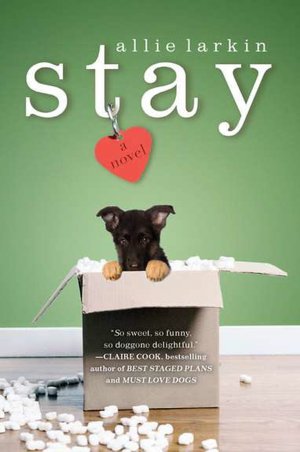 Download full book Stay: A Novel by Allie Larkin 9780452297128