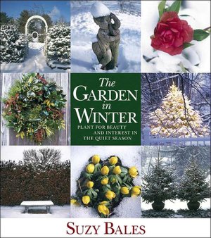 Garden in Winter: Plant for Beauty and Interest in the Quiet Season