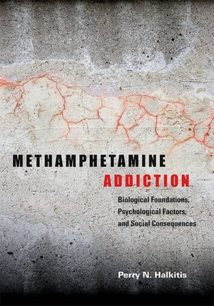 Methamphetamine Addiction: Biological Foundations, Psychological Factors, and Social Consequences