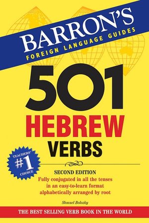 501 Hebrew Verbs