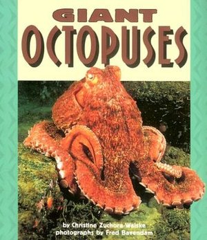 Giant Octopuses