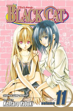 Black Cat, Volume 11