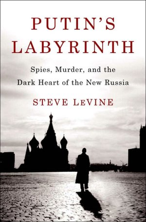 Putin's Labyrinth: Spies, Murder, and the Dark Heart of the New Russia