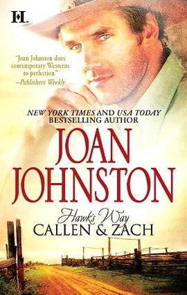 Hawk's Way: Callen and Zach