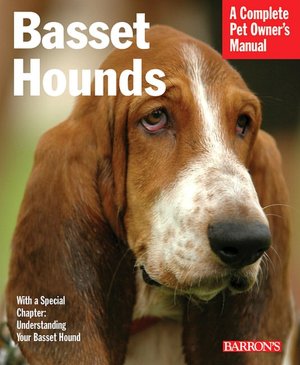 Basset Hounds: Everything about Purchase, Feeding, and Health Care