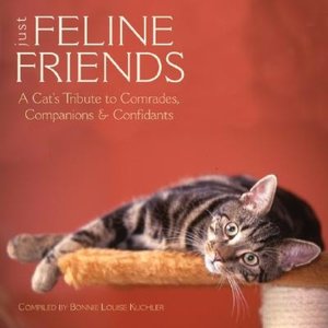 Just Feline Friends