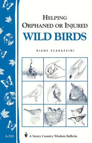 Helping Orphaned or Injured Wild Birds