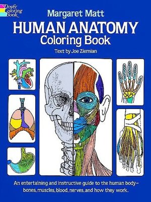Human Anatomy Coloring Book  [UT]