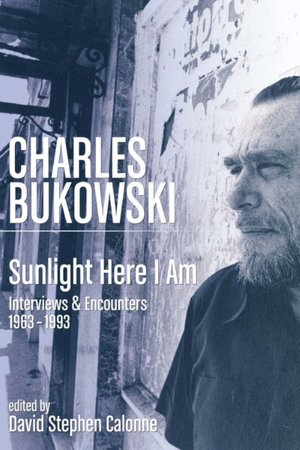 Sunlight Here I Am: Interviews and Encounters, 1963-1993