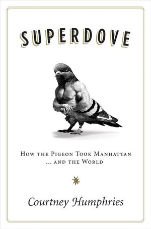 Superdove: How the Pigeon Took Manhattan... and the World