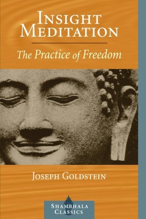 Insight Meditation (Shambhala Classics Series): The Practice of Freedom