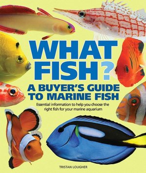 What Fish? A Buyer's Guide to Marine Fish: Essential Information to Help You Choose the Right Fish for Your Marine Aquarium