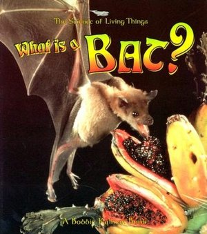 What Is a Bat?