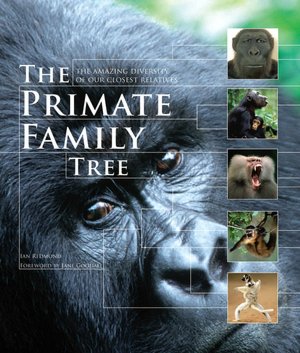 Primate Family Tree: The Amazing Diversity of Our Closest Relatives