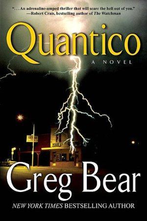 Quantico (Quantico Series #1)