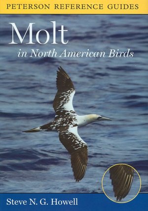 Molt in North American Birds