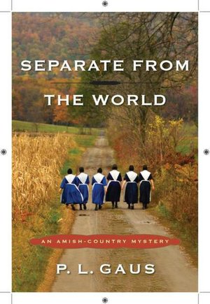 Separate from the World (Amish-Country Mystery Series #6)