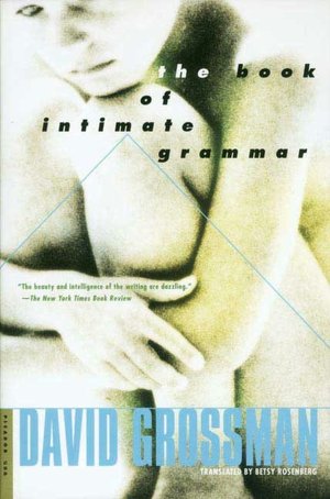Book of Intimate Grammar: A Novel