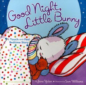 Good Night, Little Bunny: A Touch-and-Feel Bedtime Story