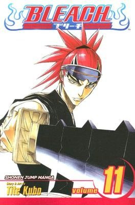 Bleach, Volume 11: A Star and a Stray Dog