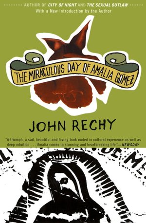 Miraculous Day of Amalia Gómez: A Novel