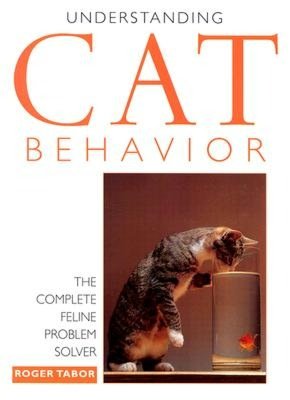 Understanding Cat Behavior