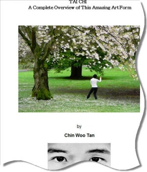 Tai Chi - A Complete Detailed Look Into This Amazing Art Form