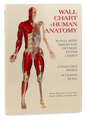 Wall Chart of Human Anatomy: 3D Full-Body Images and Detailed System Charts