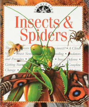 Insects and Spiders (Discoveries Series)