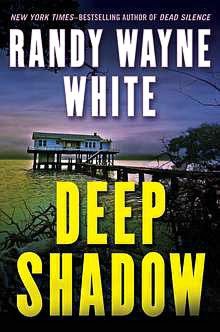 Deep Shadow (Doc Ford Series #17)