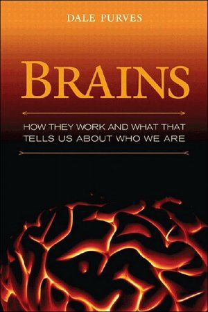 Brains: How They Seem to Work