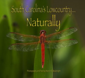 South Carolina's Lowcountry... Naturally