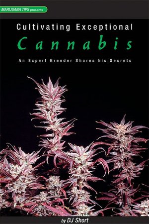 Cultivating Exceptional Cannabis: An Expert Breeder Shares His Secrets