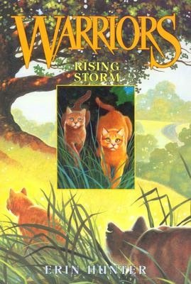 Rising Storm (Warriors Series #4)