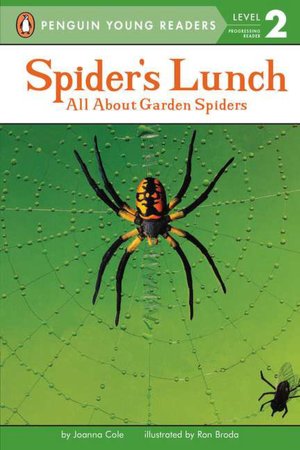 Spider's Lunch: All About Garden Spiders