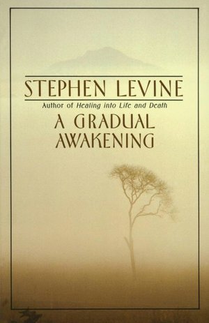 Ebook for cat preparation pdf free download A Gradual Awakening (English literature) by Stephen Levine 9780385262187 FB2