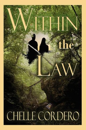 Within The Law