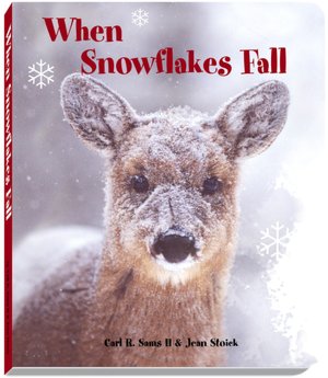 When Snowflakes Fall