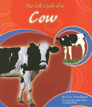 The Life Cycle of a Cow