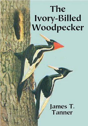 Ivory-Billed Woodpecker